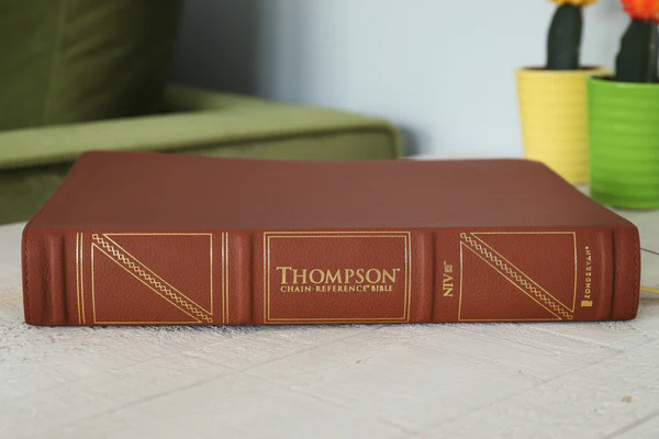 NIV, Thompson Chain-Reference Bible, Large Print, Red Letter Edition, Comfort Print - Image 15
