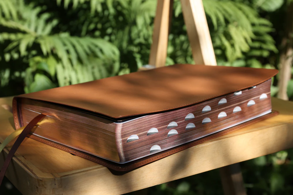 NIV, Thompson Chain-Reference Bible, Large Print, Red Letter Edition, Comfort Print - Image 20