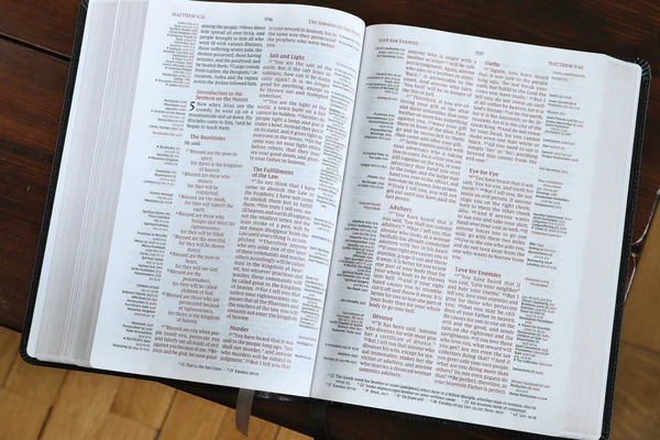 NIV, Thompson Chain-Reference Bible, Large Print, Red Letter Edition, Comfort Print - Image 21