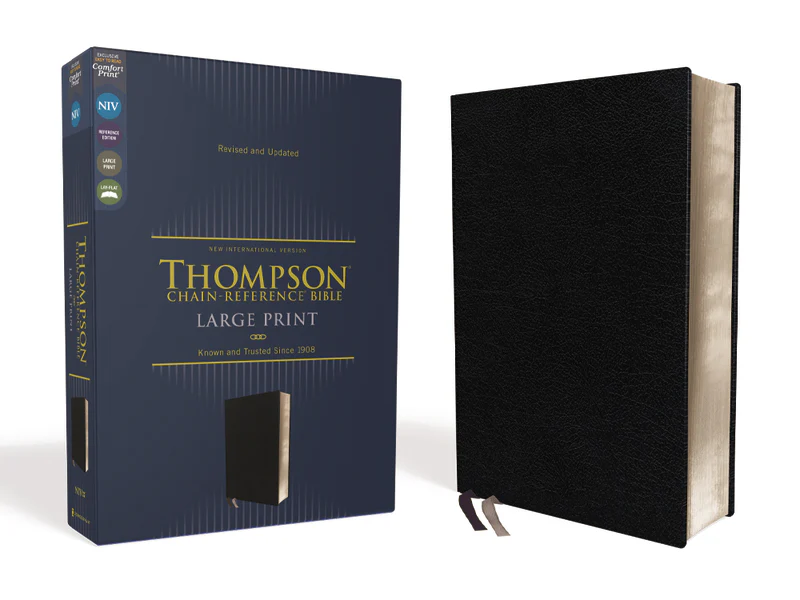 NIV, Thompson Chain-Reference Bible, Large Print, Red Letter Edition, Comfort Print - Image 3