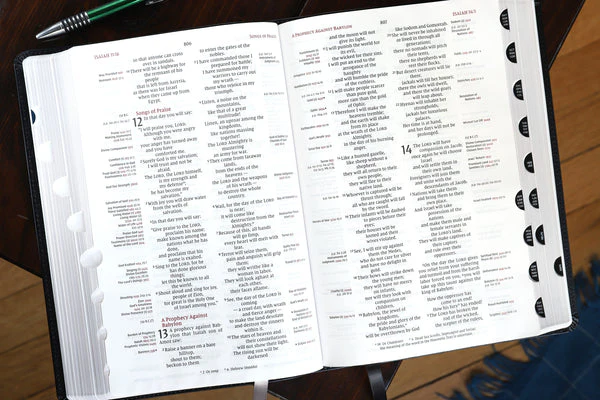 NIV, Thompson Chain-Reference Bible, Large Print, Red Letter Edition, Comfort Print - Image 49