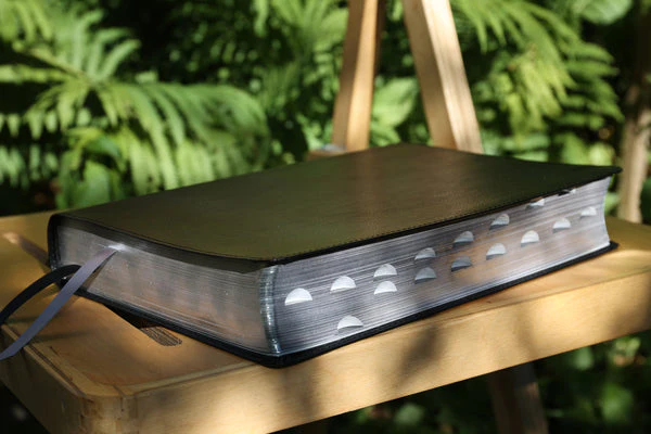 NIV, Thompson Chain-Reference Bible, Large Print, Red Letter Edition, Comfort Print - Image 61