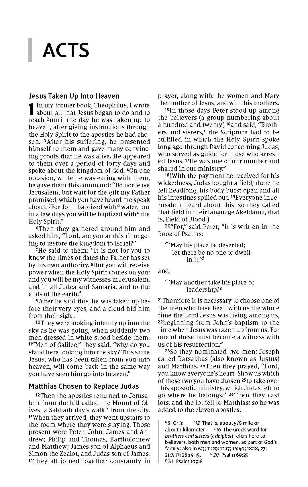 NIV, Value Thinline Bible, Comfort Print - Image 15