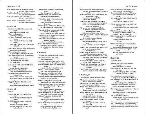 NIV, Value Thinline Bible, Comfort Print - Image 17