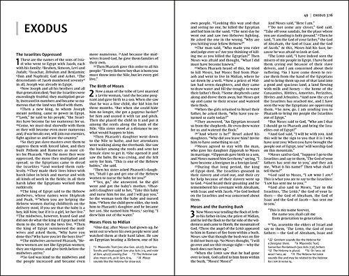 NIV, Value Thinline Bible, Comfort Print - Image 18