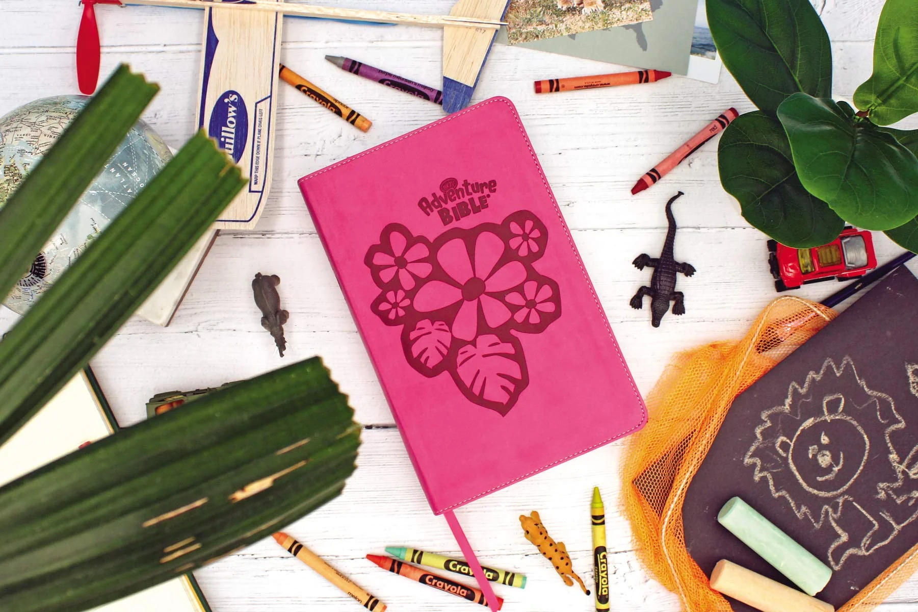 NKJV, Adventure Bible, Full Color Interior - Image 13