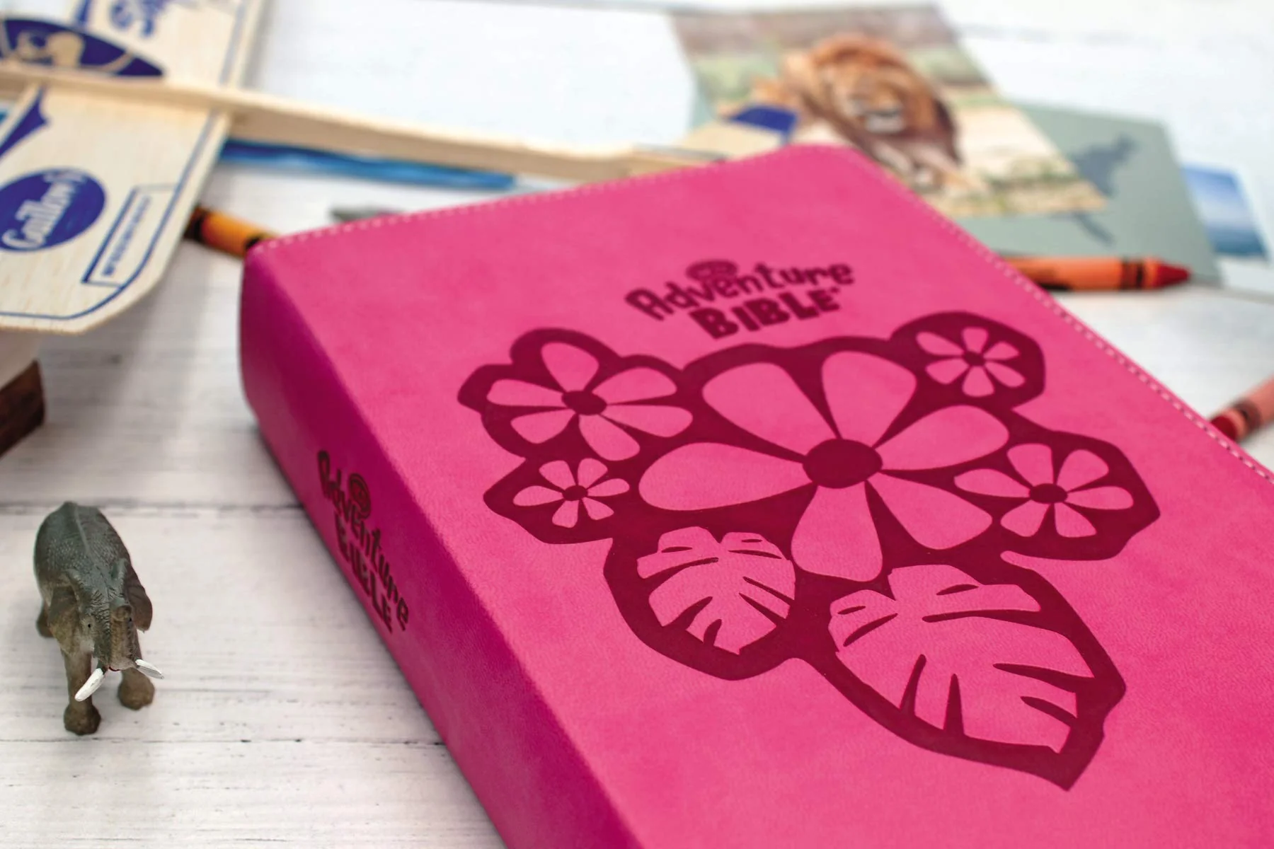 NKJV, Adventure Bible, Full Color Interior - Image 14