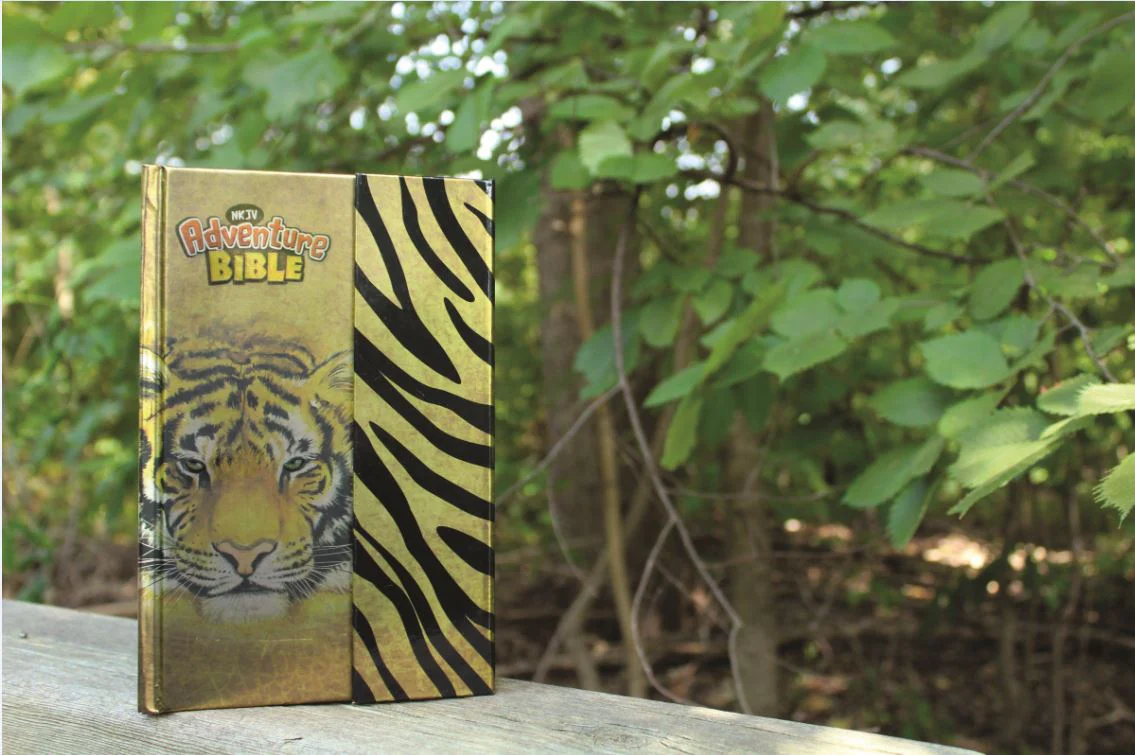 NKJV, Adventure Bible, Full Color Interior - Image 15