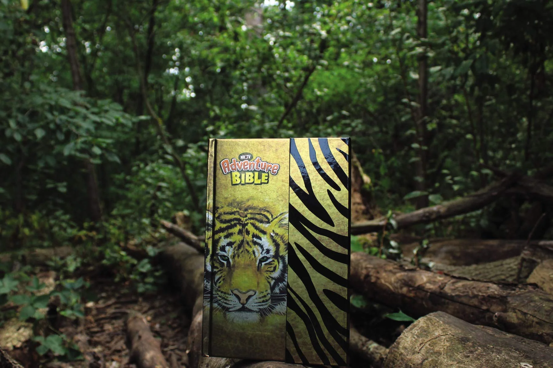 NKJV, Adventure Bible, Full Color Interior - Image 16