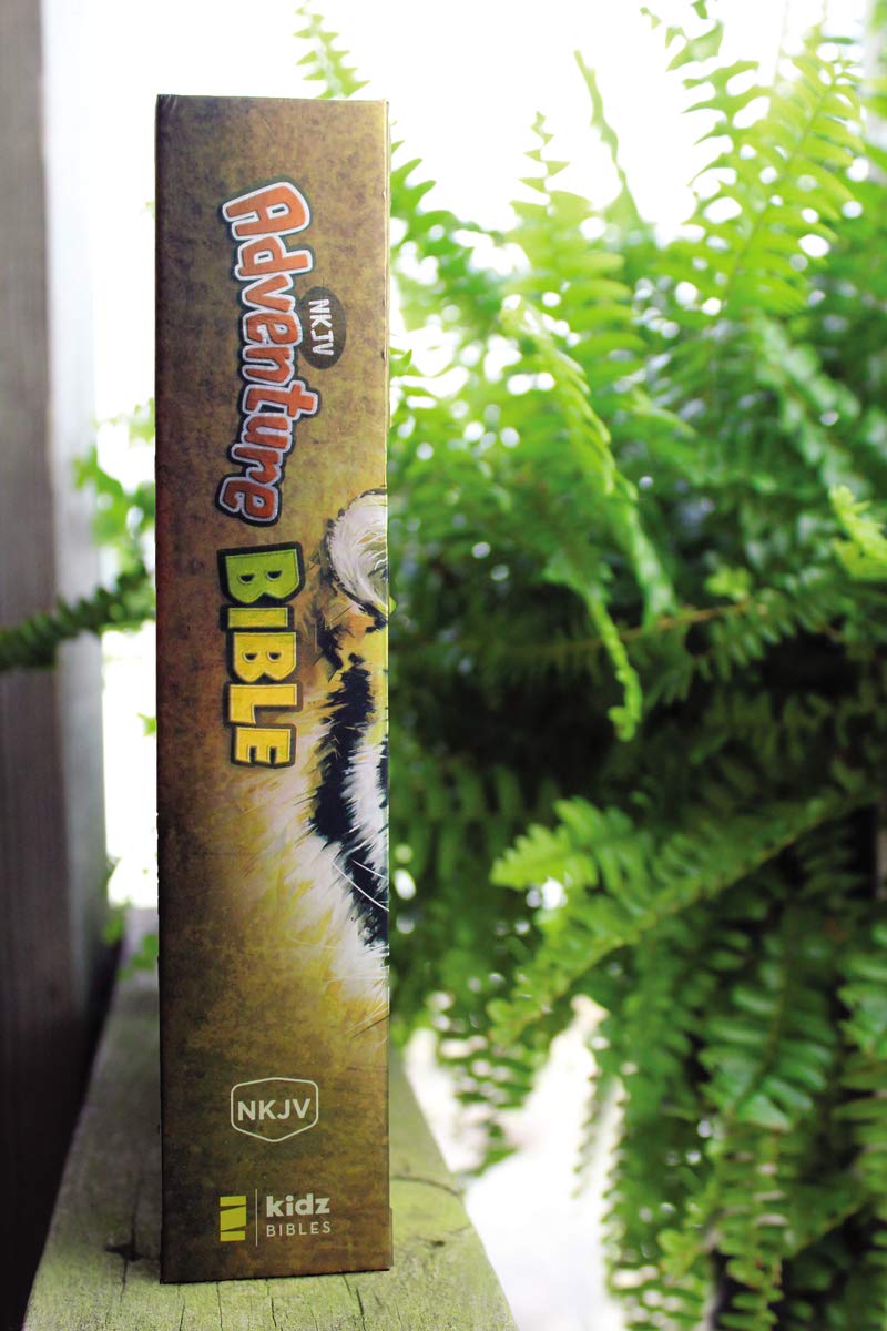 NKJV, Adventure Bible, Full Color Interior - Image 17