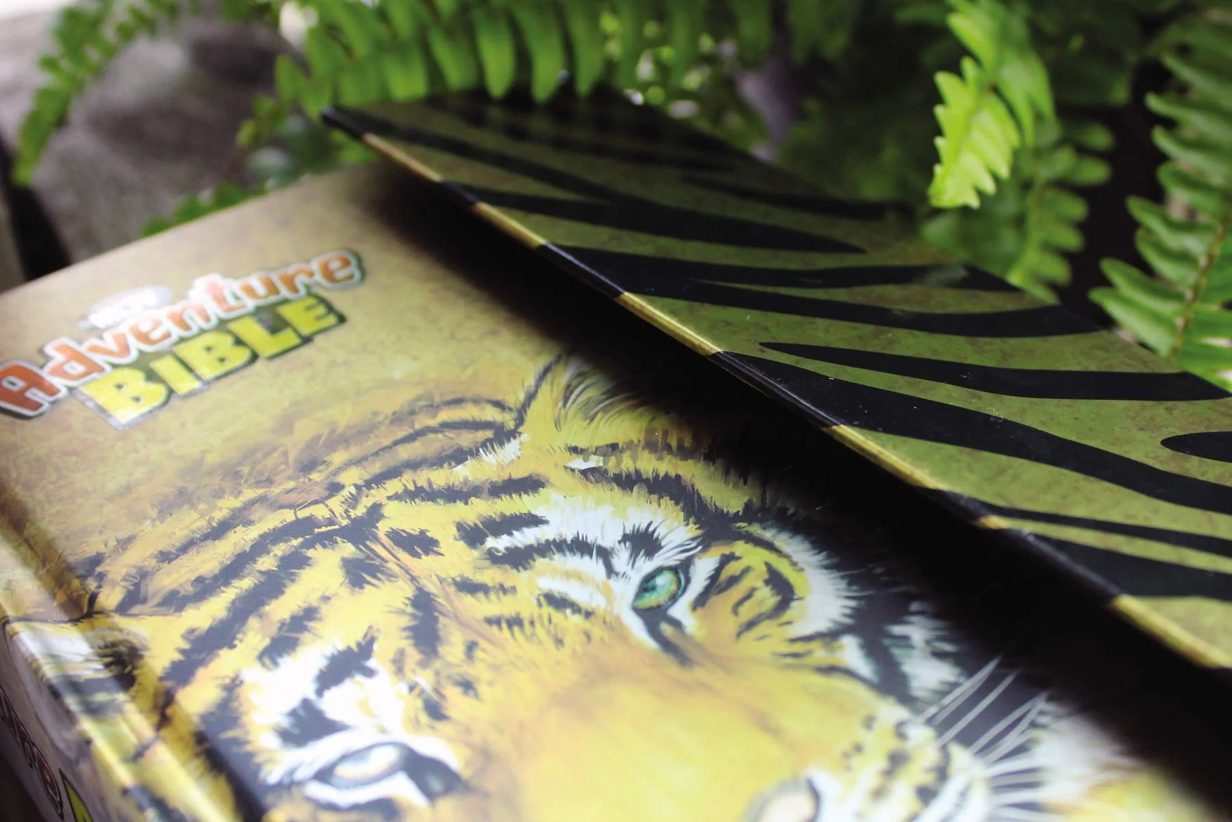 NKJV, Adventure Bible, Full Color Interior - Image 18