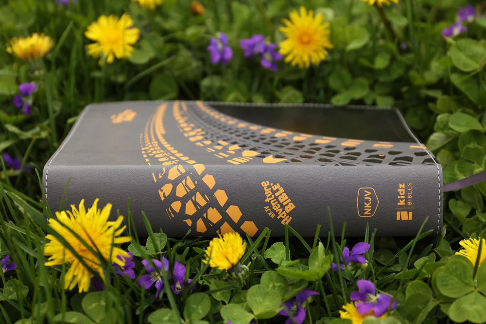 NKJV, Adventure Bible, Full Color Interior - Image 20