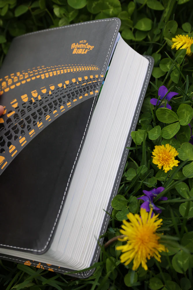 NKJV, Adventure Bible, Full Color Interior - Image 22