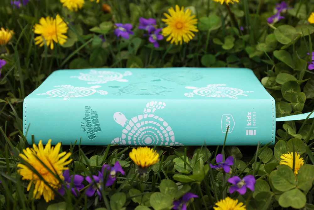 NKJV, Adventure Bible, Full Color Interior - Image 23