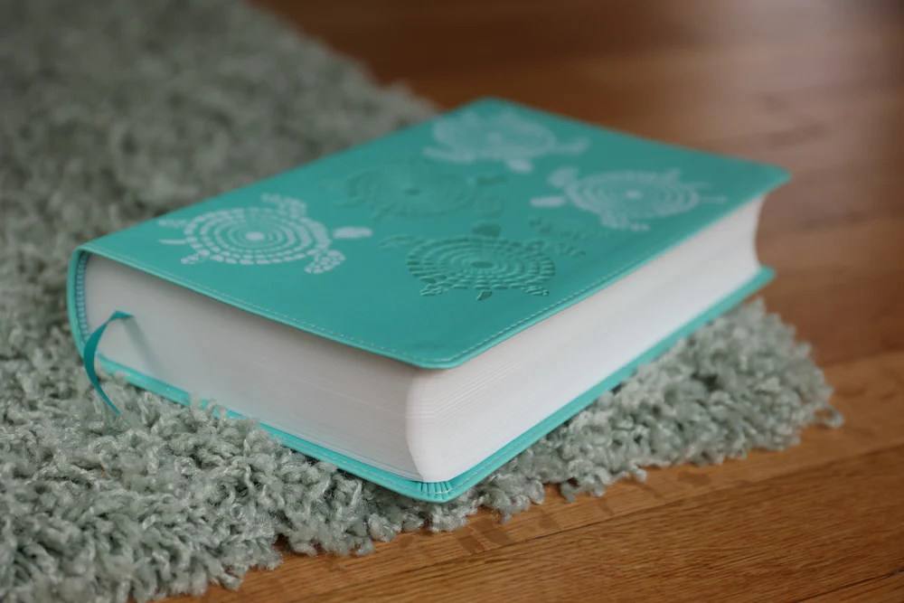 NKJV, Adventure Bible, Full Color Interior - Image 24