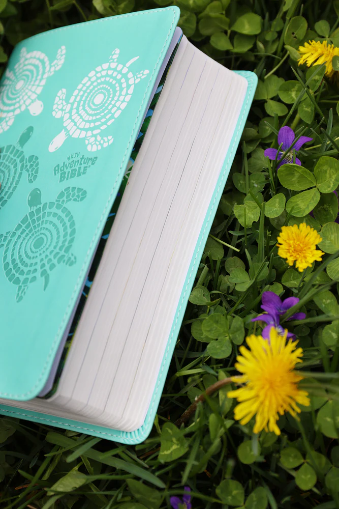 NKJV, Adventure Bible, Full Color Interior - Image 26