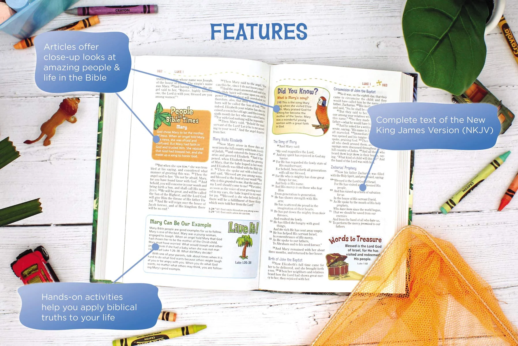 NKJV, Adventure Bible, Full Color Interior - Image 29