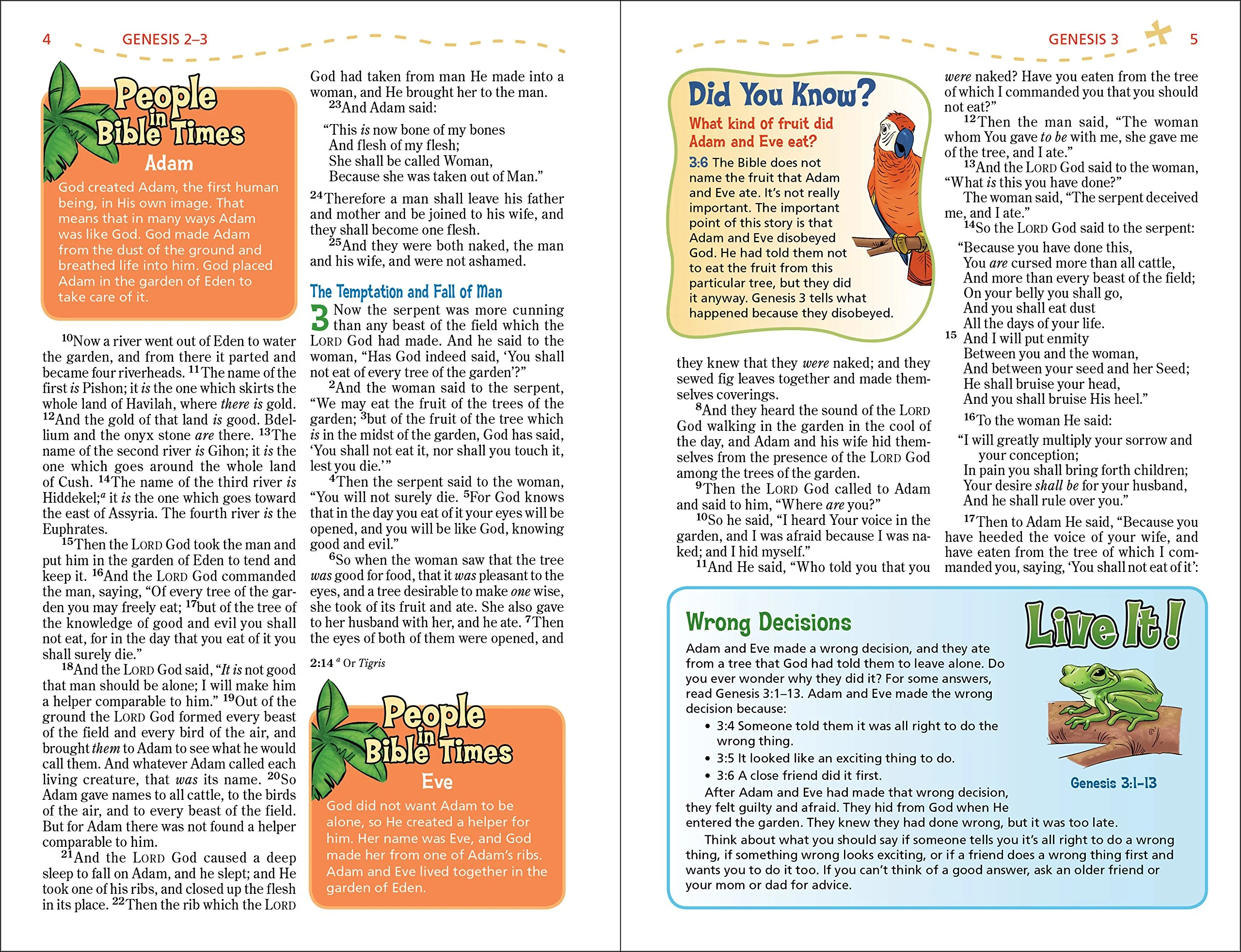 NKJV, Adventure Bible, Full Color Interior - Image 35