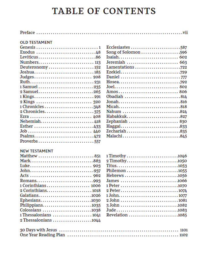 NKJV, Children's Outreach Bible, Softcover, Comfort Print: Holy Bible, New King James Version - Image 4