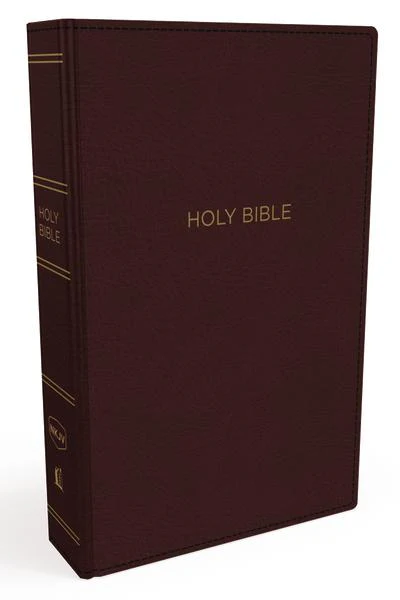 NKJV, Thinline Bible, Red Letter Edition, Comfort Print: Holy Bible, New King James Version - Image 11