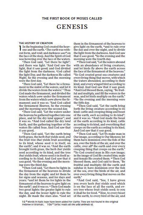 NKJV, Thinline Bible, Red Letter Edition, Comfort Print: Holy Bible, New King James Version - Image 33