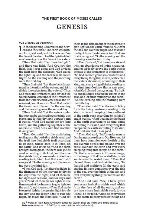 NKJV, Thinline Bible, Red Letter Edition, Comfort Print: Holy Bible, New King James Version - Image 6