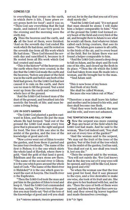 NKJV, Thinline Bible, Red Letter Edition, Comfort Print: Holy Bible, New King James Version - Image 7