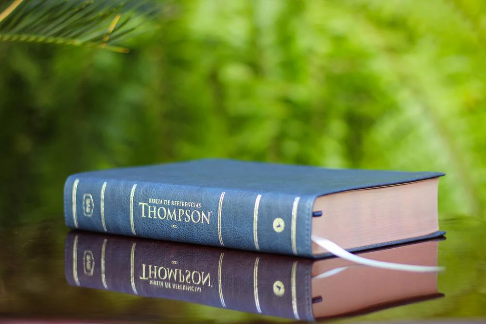 Reina Valera Revisada Biblia de Referencia Thompson, Palabras de Jesús en Rojo - Image 19