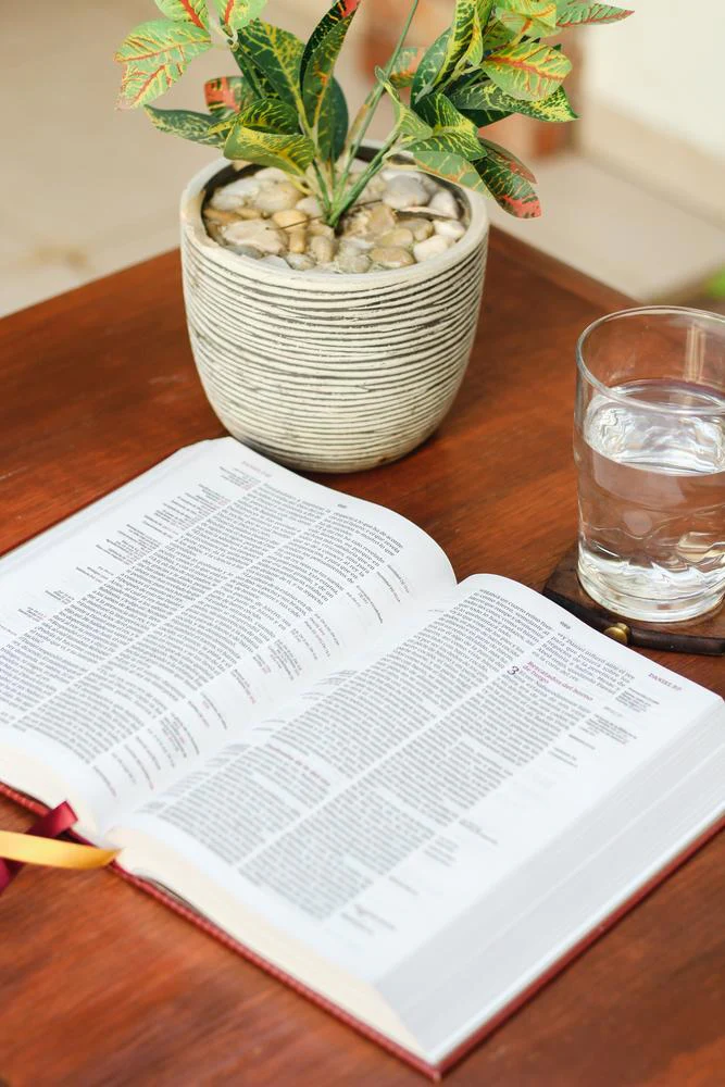 Reina Valera Revisada Biblia de Referencia Thompson, Palabras de Jesús en Rojo - Image 20