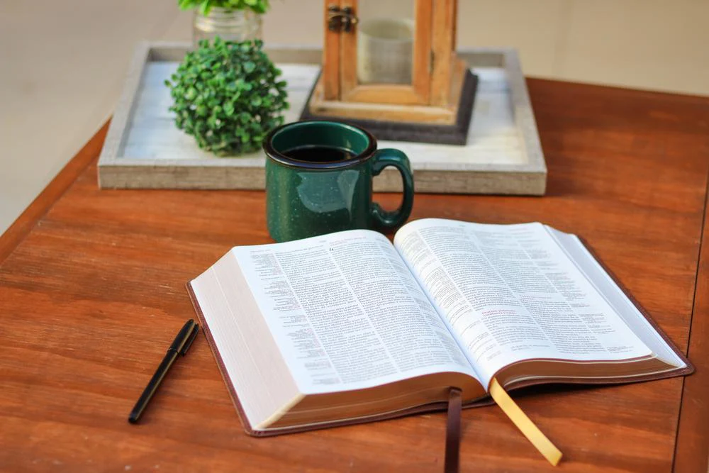 Reina Valera Revisada Biblia de Referencia Thompson, Palabras de Jesús en Rojo - Image 22