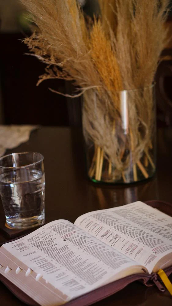 Reina Valera Revisada Biblia de Referencia Thompson, Palabras de Jesús en Rojo - Image 24