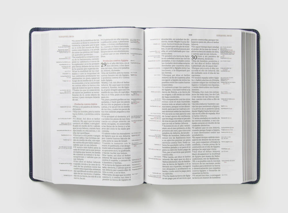 Reina Valera Revisada Biblia de Referencia Thompson, Palabras de Jesús en Rojo - Image 25