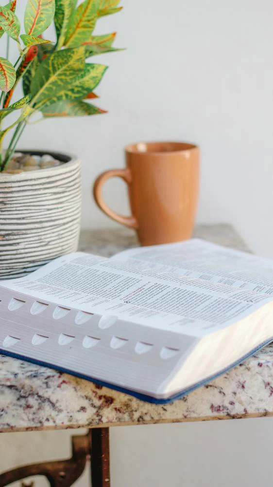 Reina Valera Revisada Biblia de Referencia Thompson, Palabras de Jesús en Rojo - Image 28