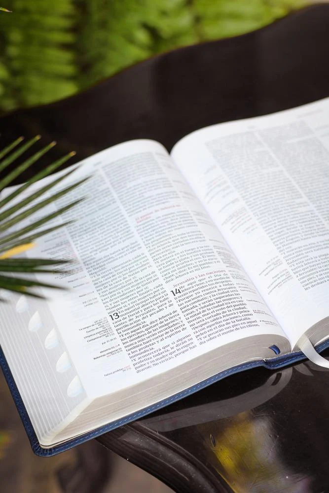 Reina Valera Revisada Biblia de Referencia Thompson, Palabras de Jesús en Rojo - Image 29